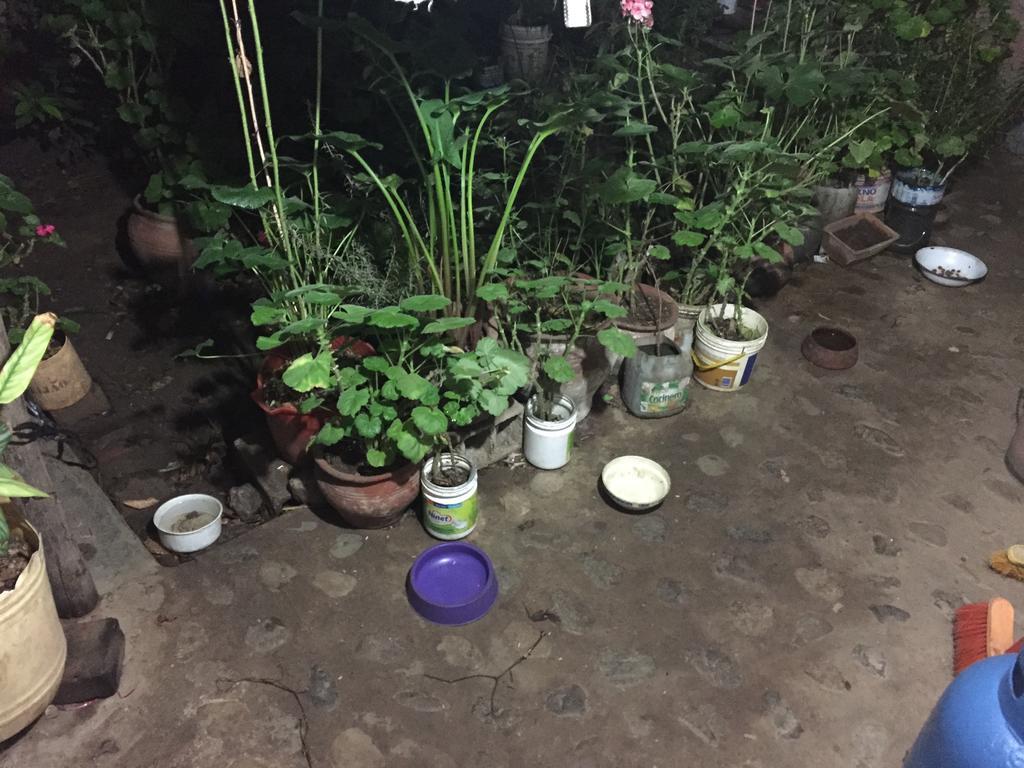 카하마르카 Casa Mirita 아파트 외부 사진